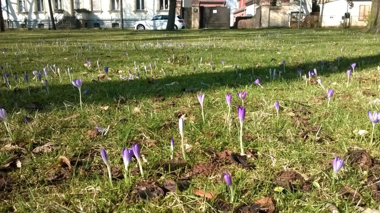 WP_20160301_12_06_55_Pro