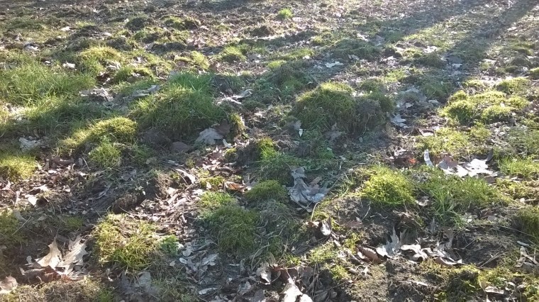 WP_20160301_12_26_06_Pro