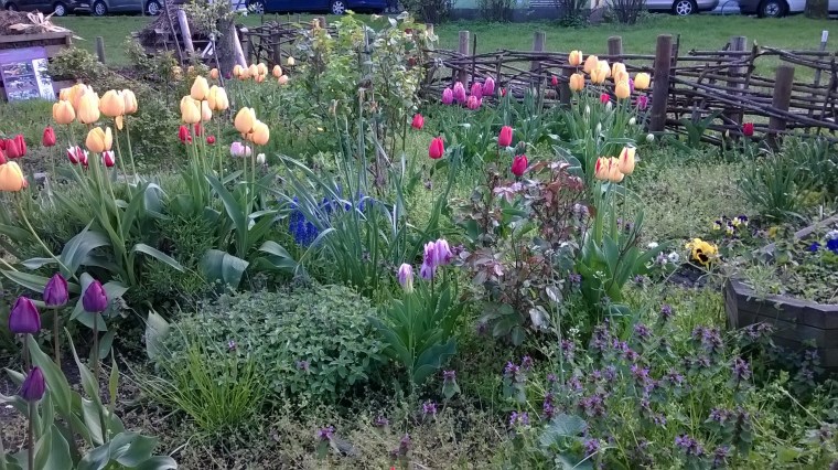 blumen für blogartikel